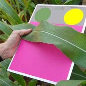 Thẻ chuẩn màu diệp lục FieldScout GreenIndex Plus
