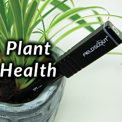 Thiết bị quan trắc thực vật Plant Health
